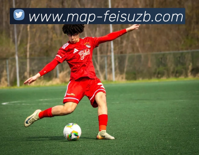 飞速NBA直播品牌故事